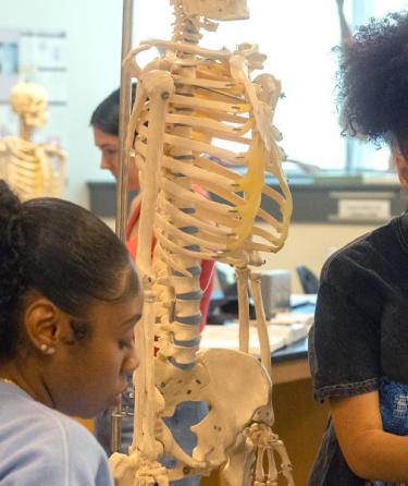 students in Anatomy class