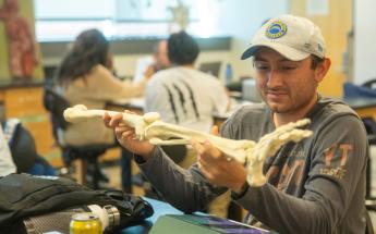Anatomy student looking at leg bone