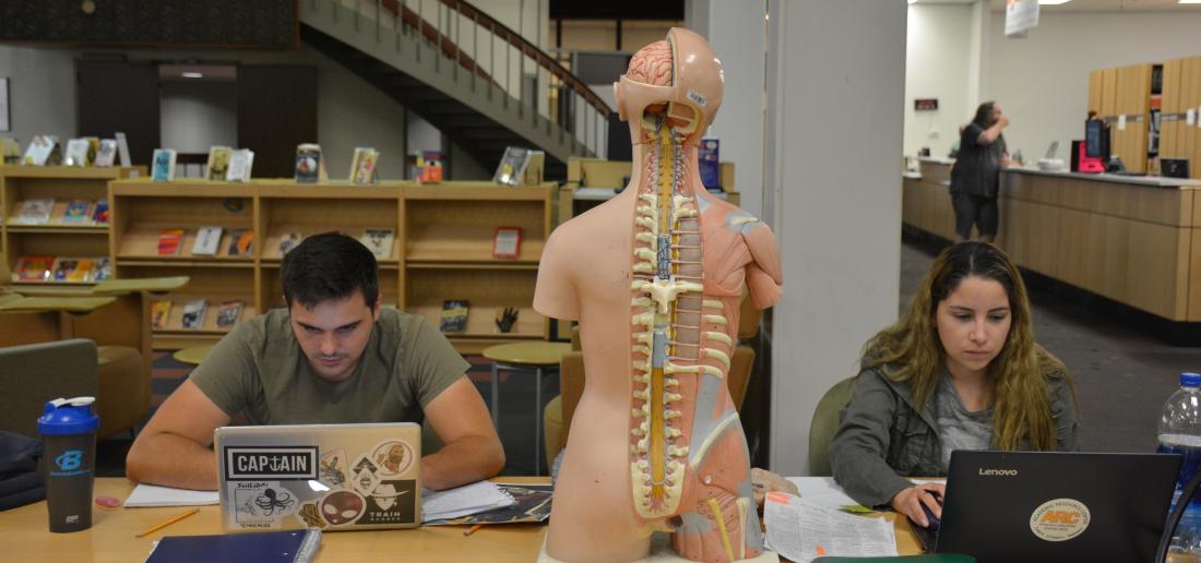 Students at Library