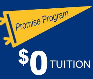 Promise Program Icon